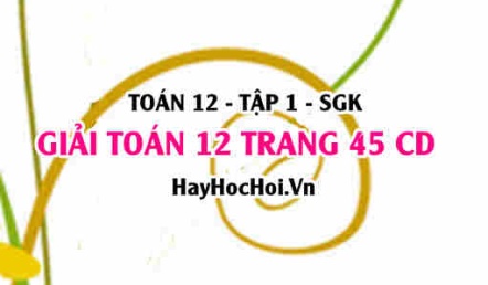 Giải Toán 12 trang 46 tập 1 Cánh Diều